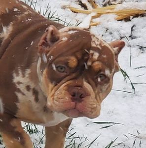 Meet your Posher, Chris